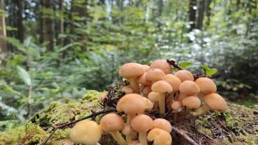 316809752 585713173557263 8664194180264310433 N