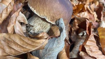 316824579 585713450223902 6655123287903486671 N