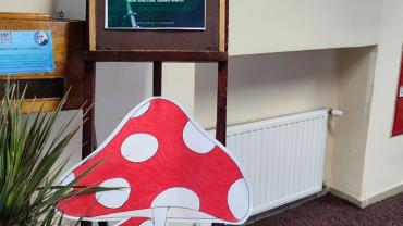 316826071 585713496890564 3651056355203944444 N