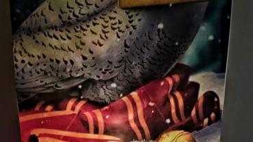 317074975 588322313296349 8490861940871470814 N