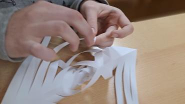 317677355 5639784872754913 8409983401507456370 N