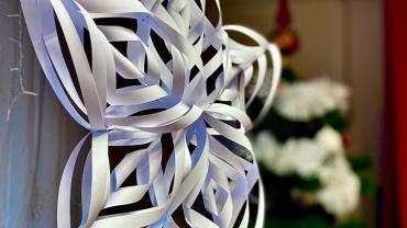 320737658 1157398818225741 2567543559877274534 N