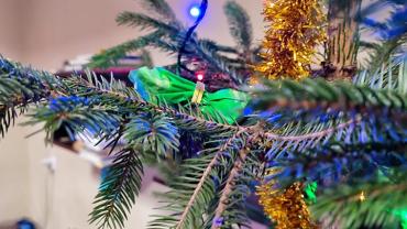 320750761 1546062529248277 7177230559068474744 N