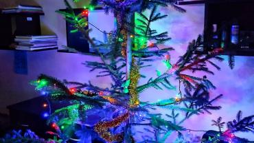 320784717 651587823423200 4922239278114581444 N