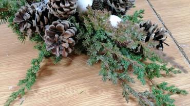 320729148 571475374805607 5033588183345425795 N