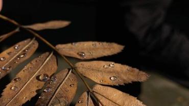 323574206 737096344235930 3204239460440731027 N