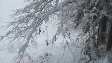 329512010 723657205932455 6932955354992211020 N