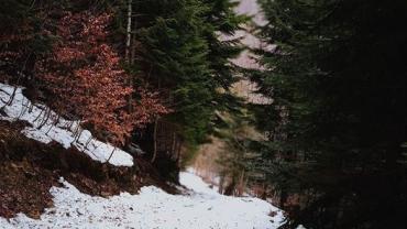 332717620 610524694277105 1441749806232848652 N