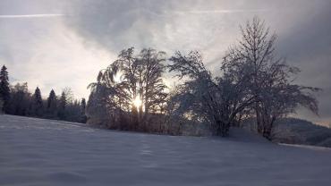 334040816 171707798963794 7726948102693318803 N