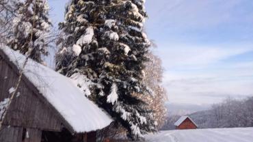 334265597 521105713284061 887782294168444042 N