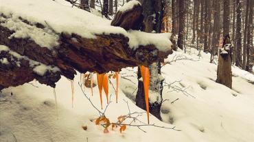 337001306 1231650354132091 6833556144439439625 N