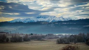 337240566 1593816351095533 3169829712191447474 N