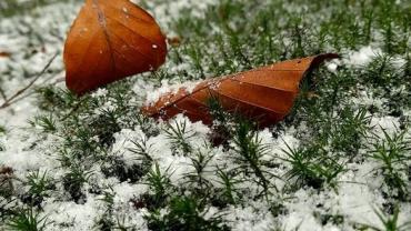 337497815 680072260539515 7803309690131974561 N