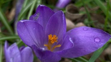 337544240 610545307391408 9186032477254260828 N