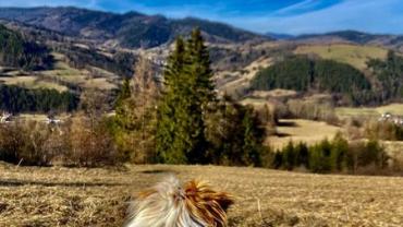 338944906 3494910877502062 1389212652339347195 N