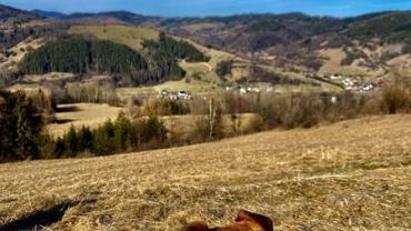 338952247 608489610821345 4322388666979100344 N