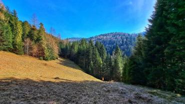 338967371 153335937360951 3844267699887283395 N