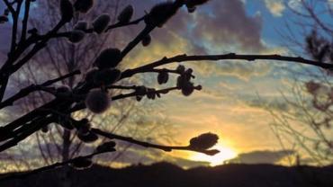 339329203 759845242515159 3202674955275767372 N