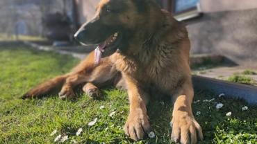 339480104 689797976275459 7011042744885398659 N