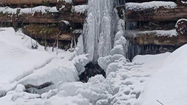 339558246 1198496880808309 5389510661924204726 N