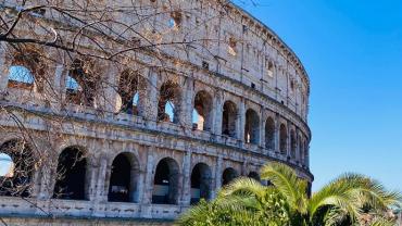 339791427 699544398636978 183653025731964993 N