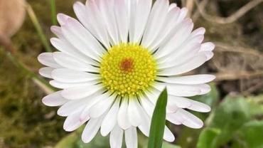 340117463 710851490819540 6620381267351317919 N