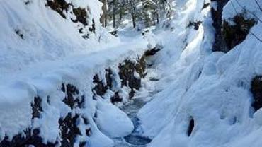 340746641 183345791189133 7049897670428838902 N