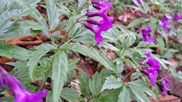 340978991 3422655411305673 8061690307801484520 N