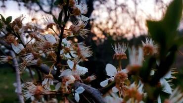 342207826 1282531955679607 6050453385095383080 N 1