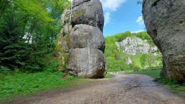 347543537 962895764911129 8426523905233453632 N