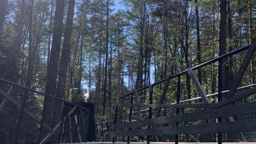 348243075 187711393802693 7476225068114863789 N