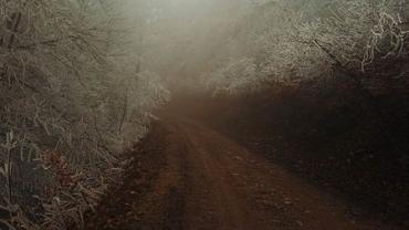 348544983 1942844602722605 1572551445793669215 N