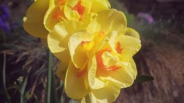 348576854 215168531307437 876727249400581287 N