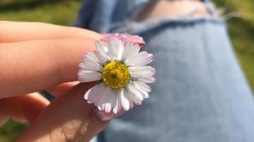 348956288 162767436554195 8047589150831342850 N