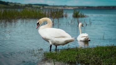 351331119 2546538258831521 4777437315994824264 N