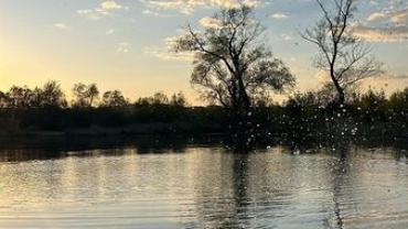 354268183 749806837147895 2194420946174512332 N