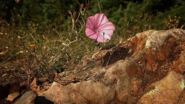 323771722 1229520064308828 2491541302351798909 N