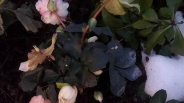 332142660 756848825802032 7650933511454016084 N