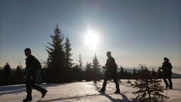 336773210 951978066172020 6188177535745794243 N