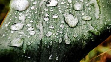 337559541 1669416550556395 5121899738097096913 N