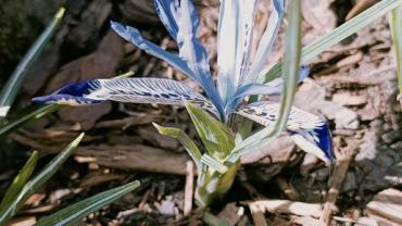 342972967 245152464716902 6095665913089463978 N