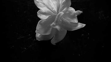 351499146 611277294433671 5030217124913204351 N