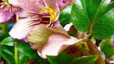 353446527 748104690651443 8185377373209330792 N