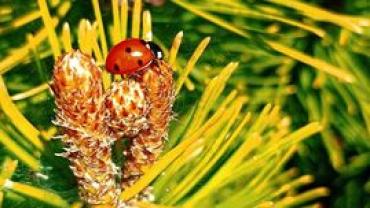 353597126 748104720651440 3355409190140331405 N