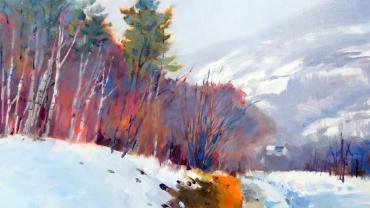 329368601 1206028663622356 8732614826068607980 N