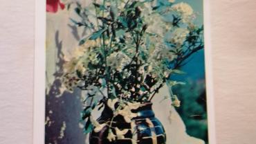 333524227 517788873615756 8472491420020827127 N