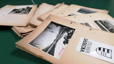 333909501 619464376700041 1296538669676678195 N