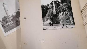 334246020 222406703581722 215779632419771835 N