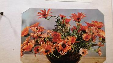 334463351 3672122999681268 1177621255438441154 N