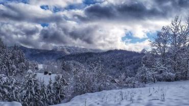 333127447 926579898344650 3359241508974520604 N